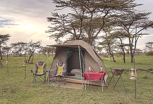 Camping Safaris